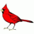 Red_Bird