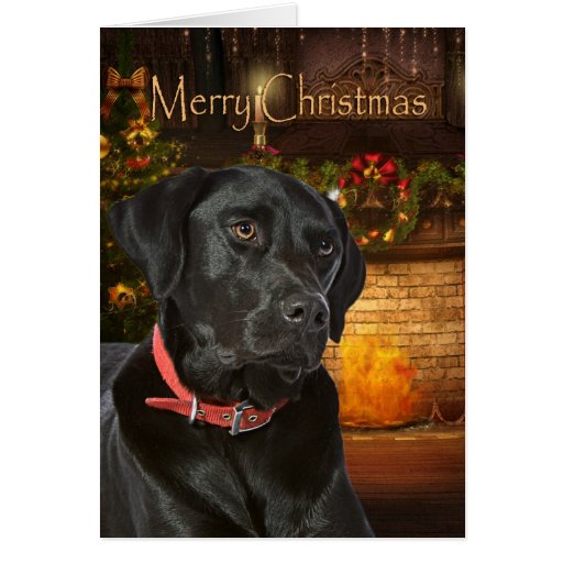 black_lab_christmas_card-r178030550d95441c918afbf88af7e37b_xvuat_8byvr_512.jpg