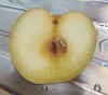 apple2.jpg