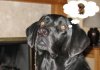 IMG_0472b.jpg