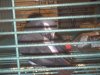 PICT0115_640x480.jpg