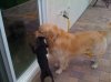 iphone pics 1389.jpg