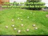 turtles-are-in-a-marching-band.jpg