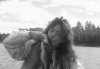 DSC01490.jpg