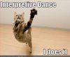 dancing cat.jpg
