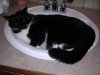 DSCN3631.jpg