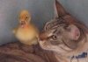 kittingandducky.jpg