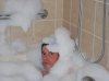 2manybubbles-2.jpg