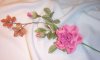 rambling rose3.jpg