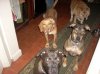the pups.jpg