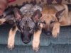 DSCN0703.jpg