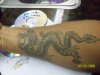 dragon 009.jpg