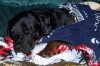 100_3268.jpg