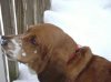 samsnow5.jpg