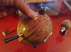 Coconut-009.jpg Coconut-009.jpg