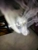 20130413_032532_resized.jpg