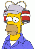 homerbeerhead.gif