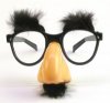 fake-glasses-with-moustache.jpg