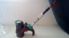 WP_20130425_001.jpg
