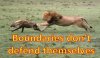BoundariesII.jpg