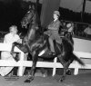 Laura_and_AmSaddlebred_3-gaited-C.jpg