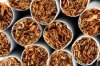 tobacco.jpg