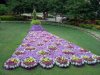 garden of flowers.jpg