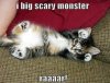 scary_kitty.jpg