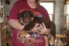 hunter_IMG_5518-001.jpg