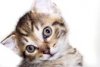 -astonished-look.jpg