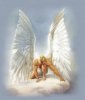 angel.jpg