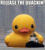 quacken.jpg