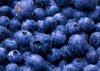 Blueberry_Blue.jpg