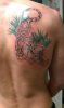 tigertattoome.jpg