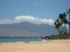 MauiRose.jpg