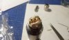 Coils1.jpg