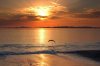 sunset_over_beach.jpg