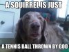 tennisballthrownbygod.jpg