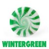 wintergreen2.jpg