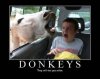 donkeyswilleatyoualive.jpg