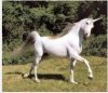 unicorn natural.jpg