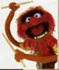 muppets-animal1.jpg