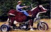 cowcycle.jpg