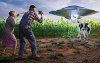 aliencow.jpg