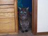 100_0551.jpg