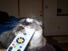 100_0527.jpg