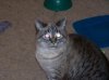 100_0539.jpg