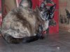 100_0486.jpg