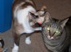 100_0536.jpg