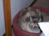 100_0544.jpg